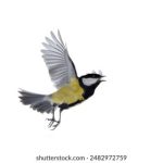 18岁以上67194 79ss86