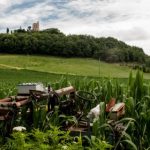 17岁高清完整版在线观看 7a1n9ubm0t