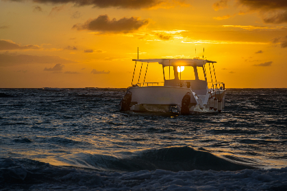 18禁无遮挡免费视频