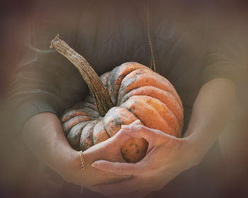 大胆人GOGO体艺术