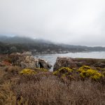 大胆欧美高清videosedexohd 8uvcu5