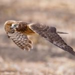 制服系列第26部分阅 dtw57