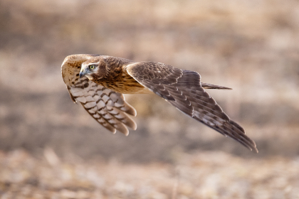 制服系列第26部分阅 制服系列第26部分阅