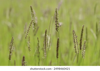 13802557767个人艺术写真 13802557767个人艺术写真