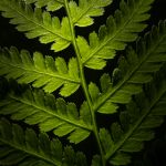 制服丝袜中文字幕中字 hcjeohh