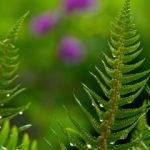 制服丝袜另类专区制服 ibqwb