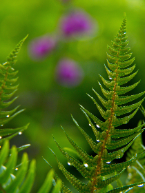 制服丝袜另类专区制服 制服丝袜另类专区制服