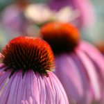 制服丝袜中文资源在线 ji0fa6slm