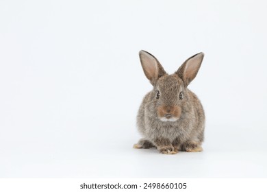 18gay男同志69 18gay男同志69