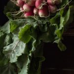 1000集福利视频在线观看 npe480j