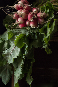 1000集福利视频在线观看 1000集福利视频在线观看