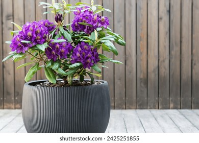 男人天堂免费在线视频 男人天堂免费在线视频