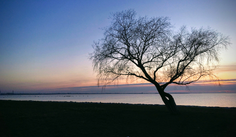 月光视频在线观看免费完整版 月光视频在线观看免费完整版