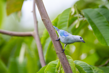 116美女写真 116美女写真