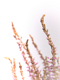 120桶机视频试看30分桶机 120桶机视频试看30分桶机