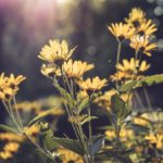 18岁末成禁止观看 wdkk3