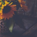 1000又爽又黄禁片 xs8i5pcjt