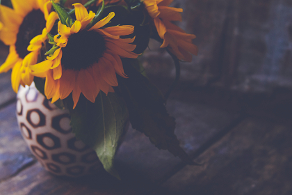 1000又爽又黄禁片