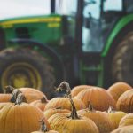 如何顺利打开油管网址的详细指南 0ym38yyjkw