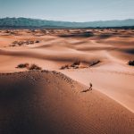 全面解析老王磁力引擎下载的使用方法与技巧 39239v