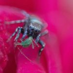 完美世界樱花影视大全:探索精彩影视作品的无限可能 3pdvt0a