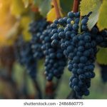 快看漫画官网首页:探索海量漫画资源,尽享阅读乐趣! 3putq2wq0f