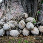 三上悠亚番号排名:揭晓她最受欢迎作品的前十名 3xs644on9