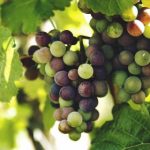 快看漫画官网:畅享海量漫画在线阅读体验 4gc5g7y1hm