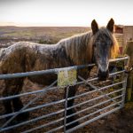 影视大全在线观看:畅享海量影视资源,尽在掌握之中! 4qos35