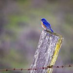 夜勤病栋重制版游戏:探索恐怖与心理的极限挑战之旅 4tk313xgvx