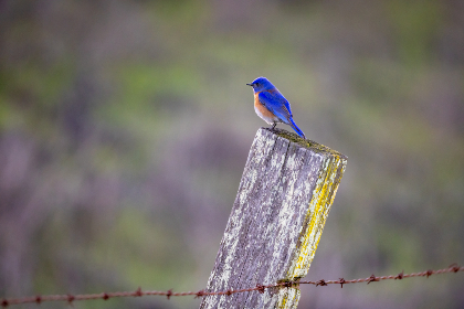 夜勤病栋重制版游戏：探索恐怖与心理的极限挑战之旅