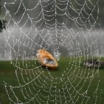 如何快速找到贴吧网页版登录入口并顺利登录 6os9j6