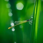 国外视频网站排行:全球最受欢迎的在线视频平台一览 b3yprkrx