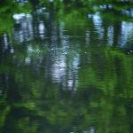 types of seating arrangements:探索不同场合下的最佳座位布局选择 f1wisoax