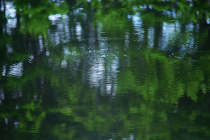 types of seating arrangements:探索不同场合下的最佳座位布局选择 types of seating arrangements:探索不同场合下的最佳座位布局选择