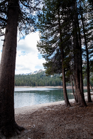 实时更新：以色列战争最新动态与局势分析