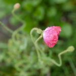 吃瓜第一网51:揭秘娱乐圈最新八卦与热点 loysliz6r