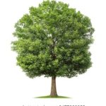 探索Vidhub官网入口:全面了解视频分享平台的使用指南 1e10vrh05l