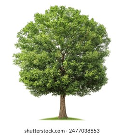 探索Vidhub官网入口:全面了解视频分享平台的使用指南 探索Vidhub官网入口:全面了解视频分享平台的使用指南