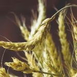 探索 Ambi 网站的独特功能与用户体验 1mjbh76hq