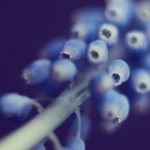 探索优质本子网站免费资源,畅享无限创作灵感 3kxi69uy9f