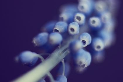 探索优质本子网站免费资源,畅享无限创作灵感 探索优质本子网站免费资源,畅享无限创作灵感