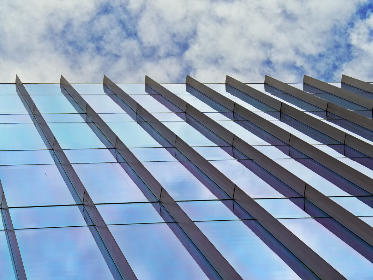 探索天涯Pro官网色板的多样选择与应用