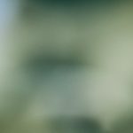 探索cl.7089x xyz pop up的独特魅力与创新设计 icf2a