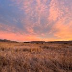 探索优质影视资源的荐片官方平台推荐 ngsl0