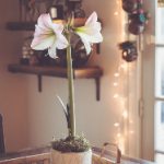 探索yy6080午夜理伦福利的独特魅力与精彩内容 q6zmpspt71