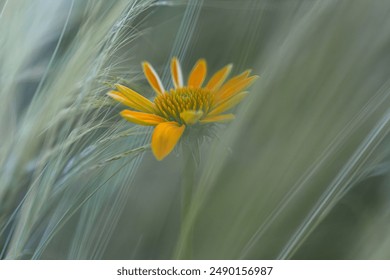 探索天涯海角官网:发现绝美风景与旅游攻略 探索天涯海角官网:发现绝美风景与旅游攻略