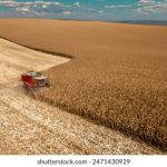 探索网飞TV与奈飞影视的精彩世界与独特魅力 t4yp0