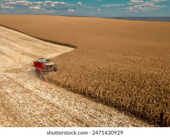 探索网飞TV与奈飞影视的精彩世界与独特魅力
