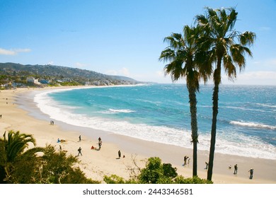 探索吃力的猫科动物：它们的生存挑战与适应策略